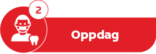 Oppdag