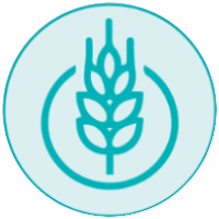 Kosthold med høyt innhold av raffinerte karbohydrater