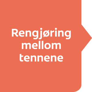 rengjøring mellom tennene